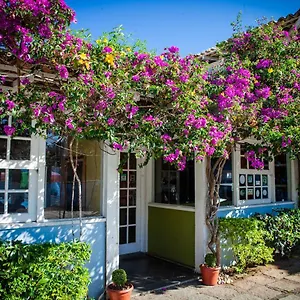 Inn Salvia Geribá Fishbone Zone